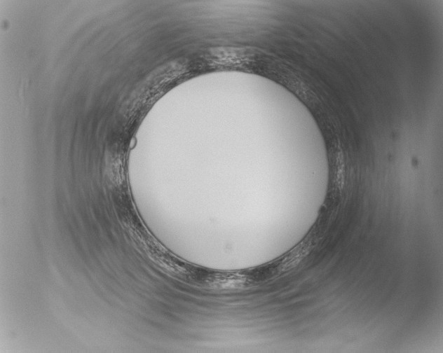 X0000051260514200507152219