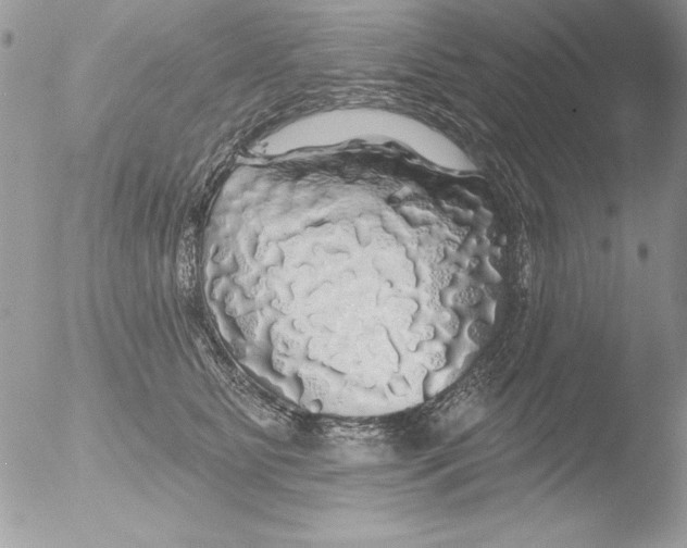 X0000051260515200507152219