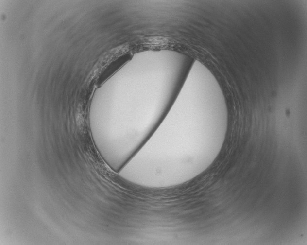 X0000051260516200507152219