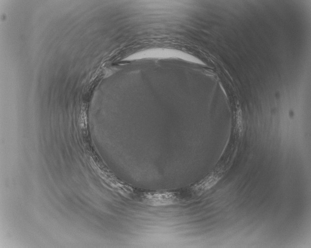 X0000051260517200507152219