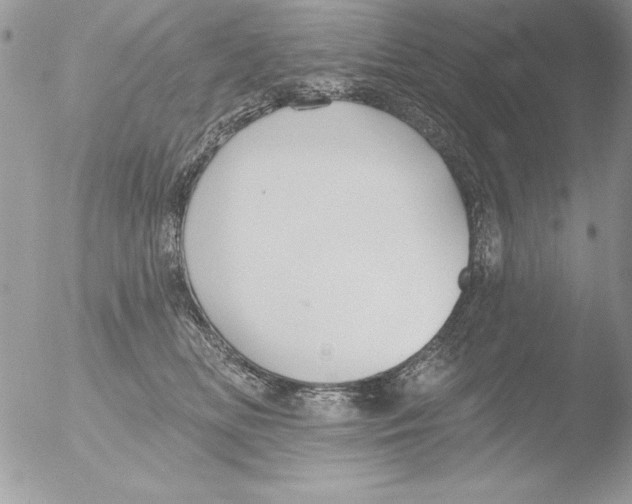 X0000051260518200507152219