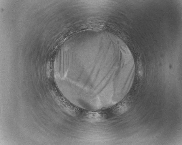 X0000051260519200507152219