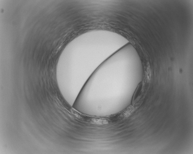 X0000051260520200507152219