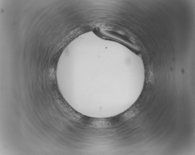 X0000051260521200507152219