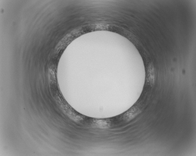 X0000051260522200507152219