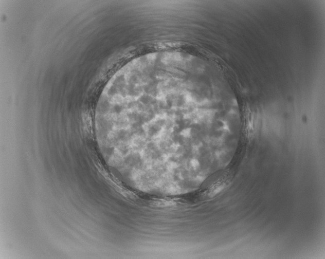 X0000051260523200507152219