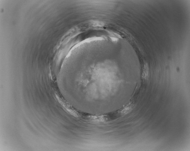 X0000051260524200507152219