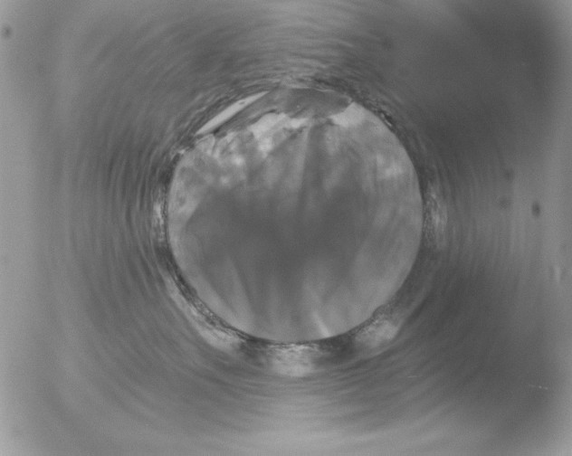 X0000051260527200507152219