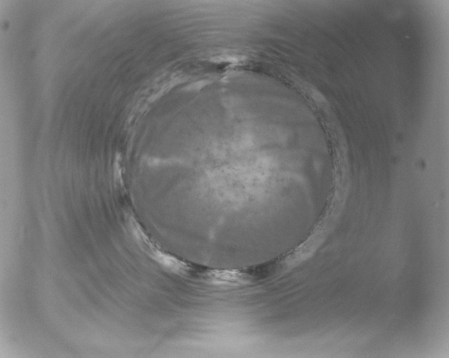 X0000051260528200507152219