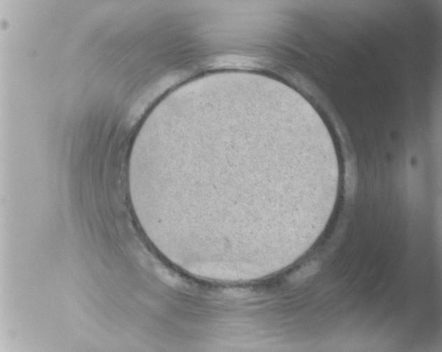 X0000051260529200507152218