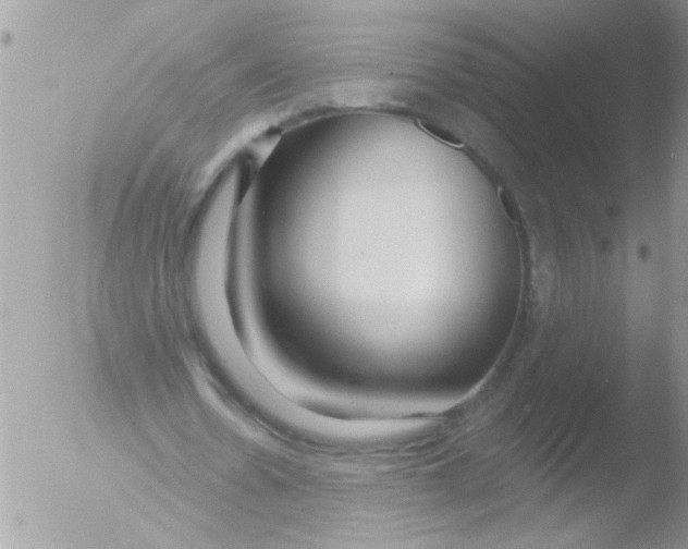 X0000051260530200507152218