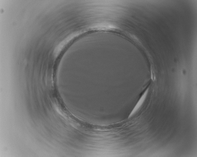 X0000051260531200507152218