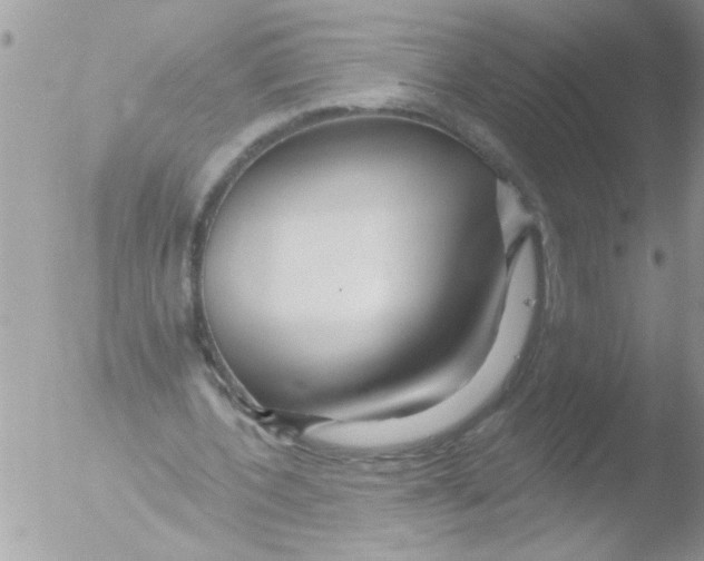 X0000051260532200507152218