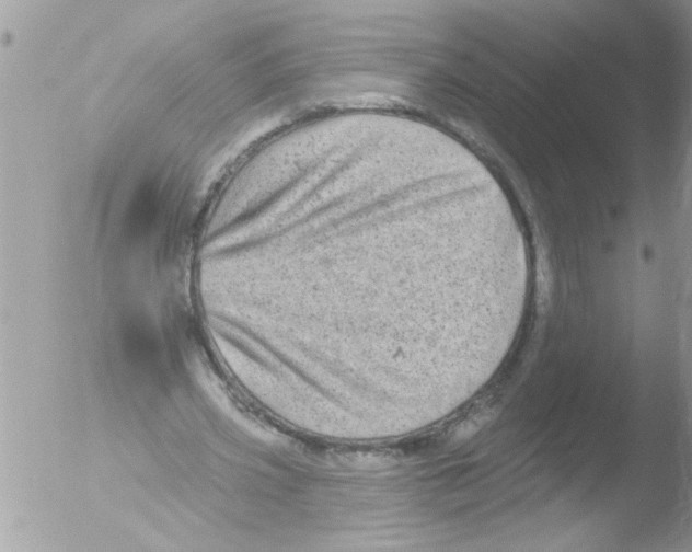 X0000051260533200507152218