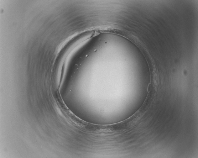 X0000051260536200507152218