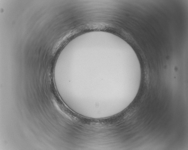 X0000051260538200507152218