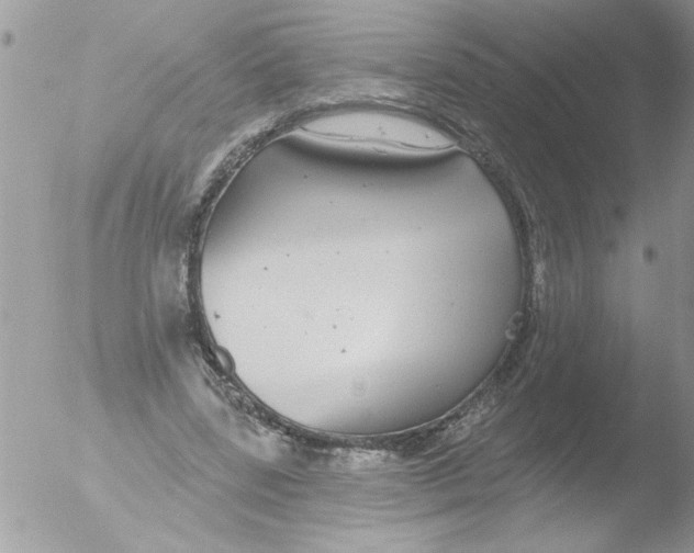 X0000051260539200507152218