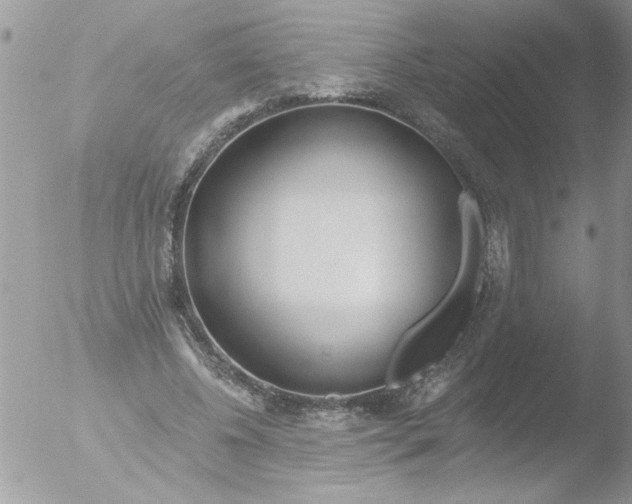 X0000051260540200507152218