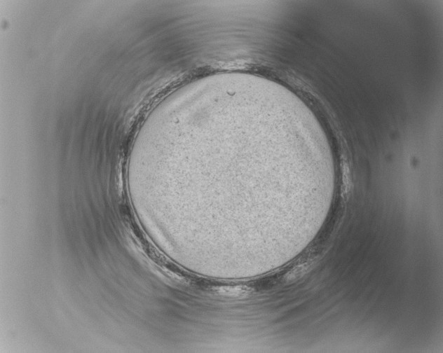 X0000051260541200507152218