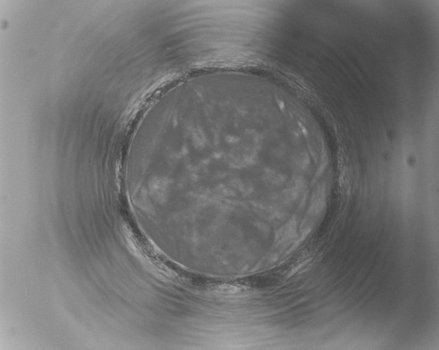 X0000051260542200507152218