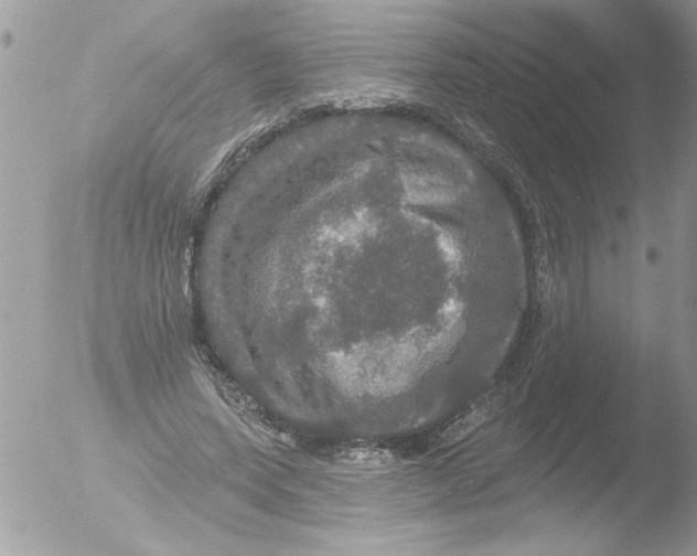 X0000051260543200507152218