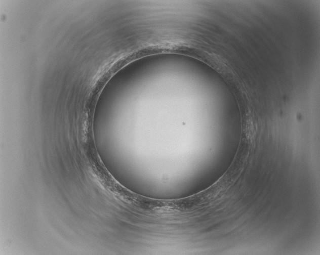 X0000051260544200507152218