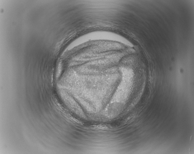 X0000051260545200507152218