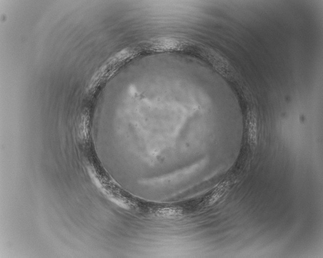 X0000051260546200507152218