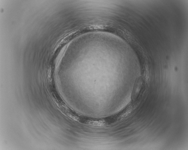 X0000051260548200507152218