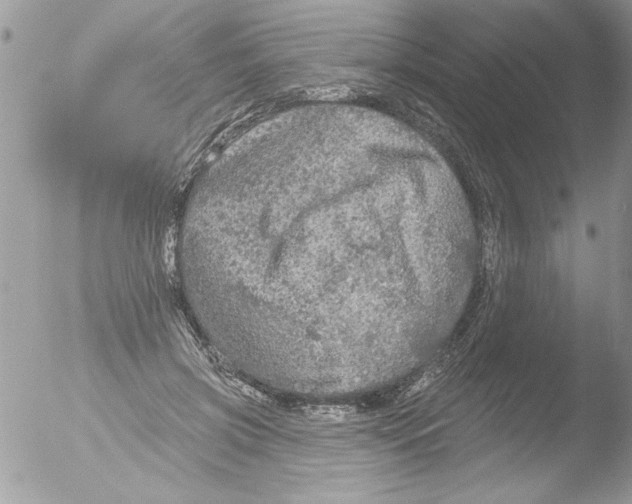 X0000051260549200507152218