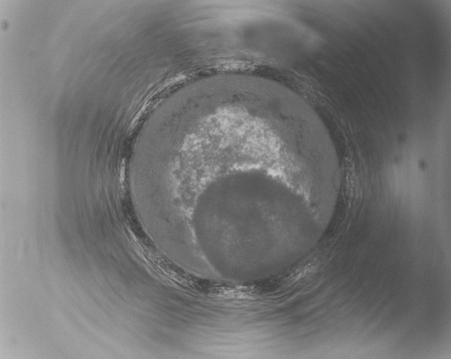 X0000051260550200507152218