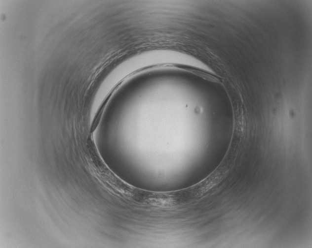 X0000051260552200507152218