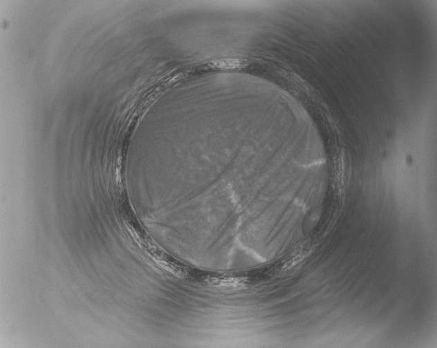 X0000051260553200507152218