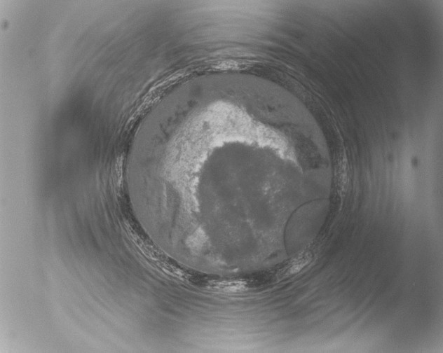 X0000051260554200507152218