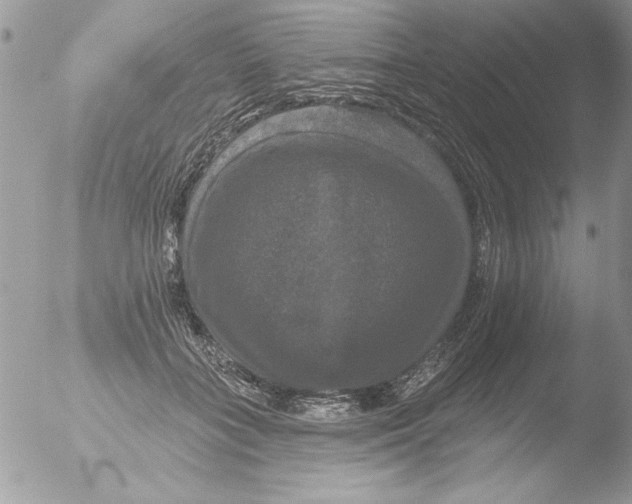 X0000051260555200507152218