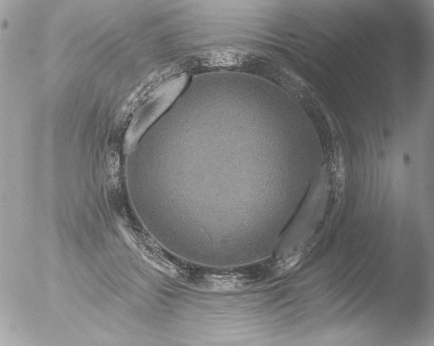 X0000051260556200507152218