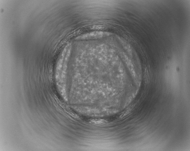 X0000051260557200507152218