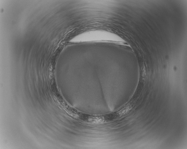 X0000051260559200507152218