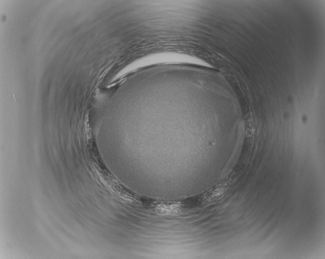 X0000051260560200507152218