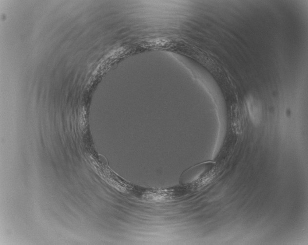 X0000051260563200507152219