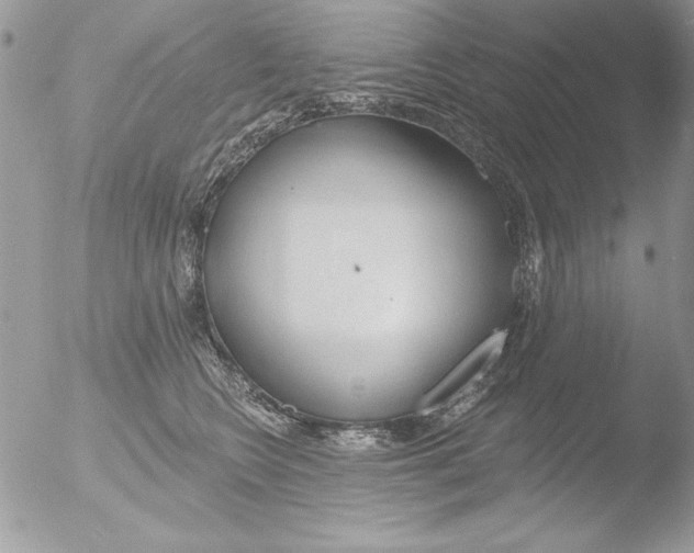 X0000051260566200507152219