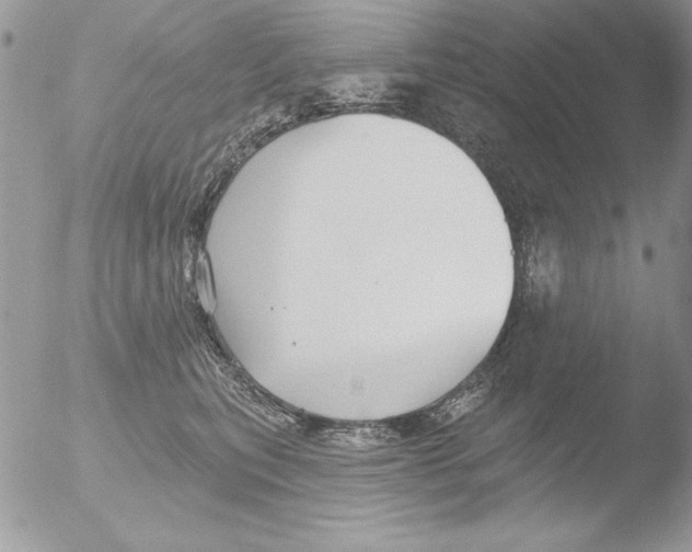 X0000051260567200507152219