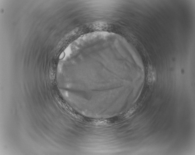 X0000051260569200507152219