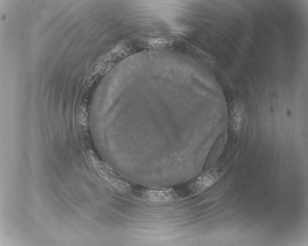 X0000051260571200507152219