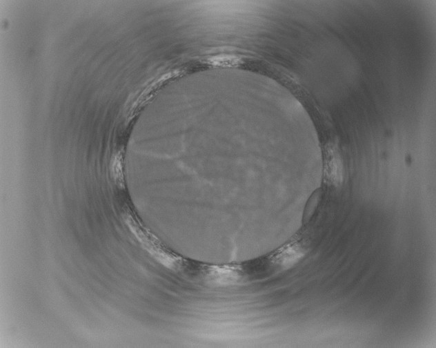 X0000051260573200507152219