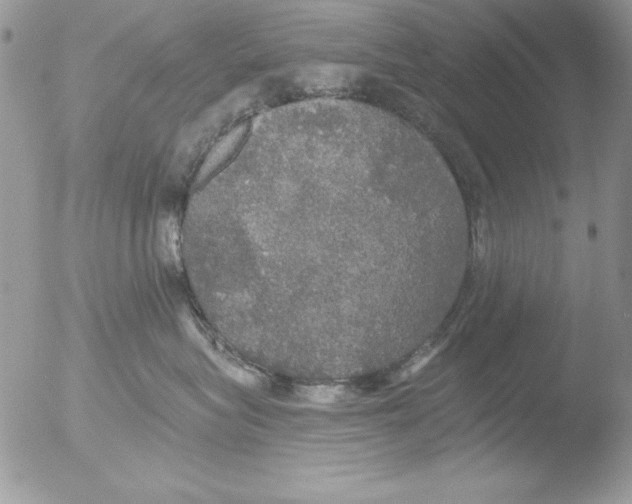 X0000051260575200507152219