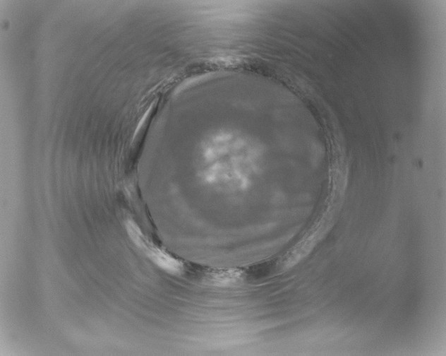 X0000051260576200507152219