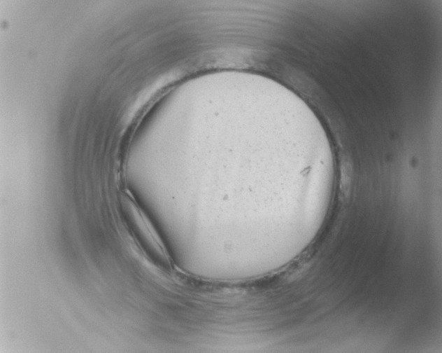 X0000051260578200507152218