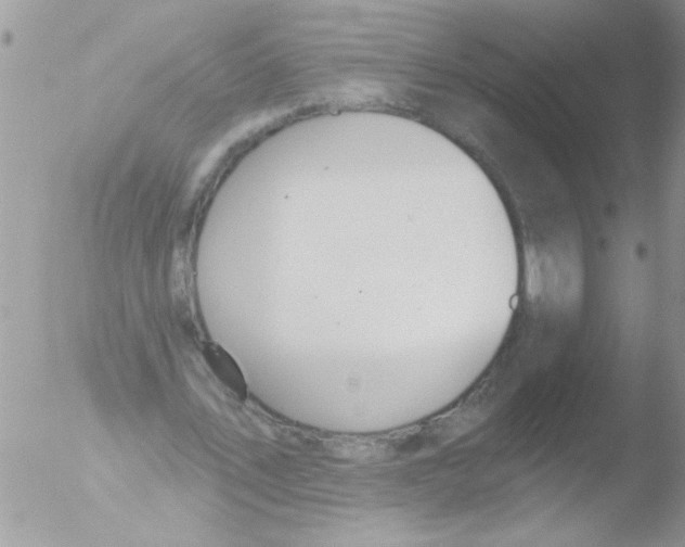 X0000051260579200507152218