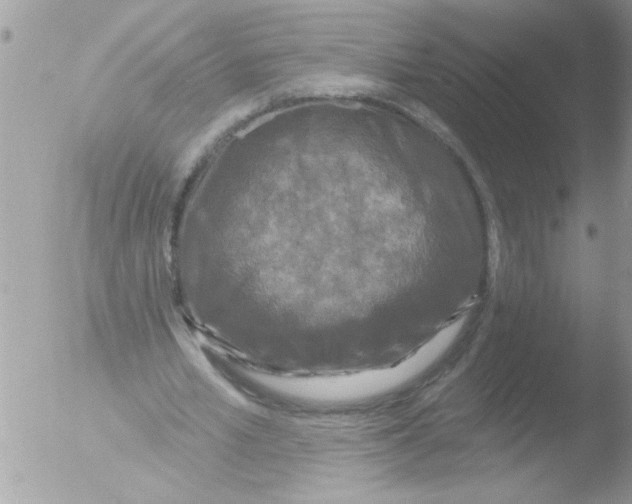 X0000051260581200507152218